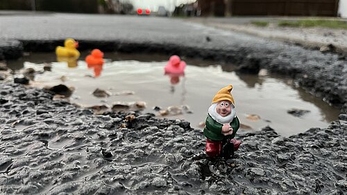 Ducks in a pothole and a working gnome in front